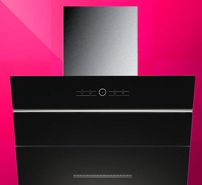 生產(chǎn)廠家直供抽油煙機,雙核純銅線、超靜音雙電機,吸力強勁圖片_高清圖_細節(jié)圖-深圳市龍崗區(qū)小優(yōu)廚房電器廠 -