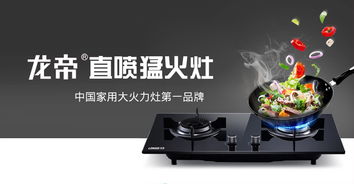樂(lè)平龍帝廚衛(wèi)電器