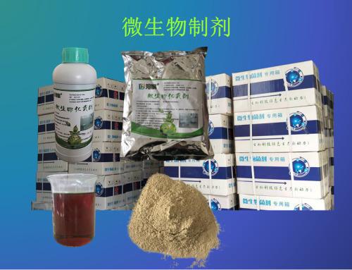 農村旱廁改造與生物肥料利用 施工圖紙與創新方法