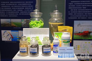 海洋試點國家實驗室 問海十八載，為強國戰略注入海洋科研不竭動力